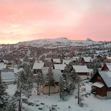 Studio Montagne A La Pierre St Martin Arette Dış mekan fotoğraf